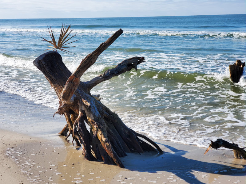 Cape San Blas Stumphole
