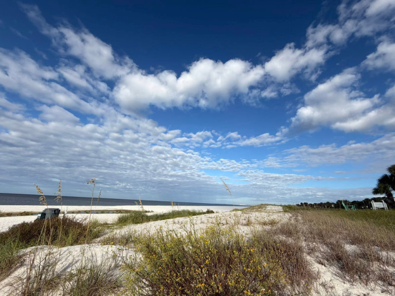 St. Joe Beach Dunes Photo